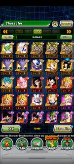 Screenshot_2021-12-02-06-10-52-109_com.bandainamcogames.dbzdokkanww.jpg