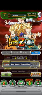 Screenshot_2021-12-02-06-12-48-341_com.bandainamcogames.dbzdokkanww.jpg
