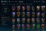 champs.jpg
