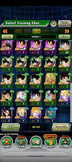 Screenshot_2021-12-04-15-08-39-948_com.bandainamcogames.dbzdokkanww.jpg