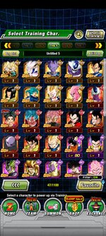 Screenshot_2021-12-04-15-13-52-519_com.bandainamcogames.dbzdokkanww.jpg