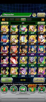 Screenshot_2021-12-04-18-09-41-577_com.bandainamcogames.dbzdokkanww.jpg