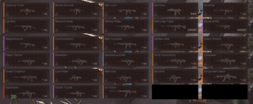 Assult Rifle Skins.png