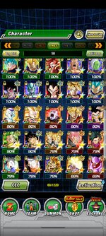 Screenshot_2021-12-07-19-36-28-940_com.bandainamcogames.dbzdokkanww.jpg