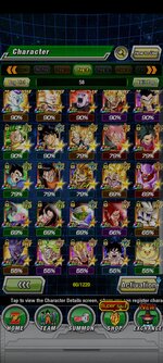 Screenshot_2021-12-07-19-36-31-580_com.bandainamcogames.dbzdokkanww.jpg
