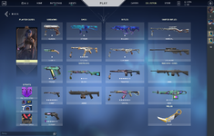 Valorant Screenshot 2021.12.11 - 19.10.43.95.png