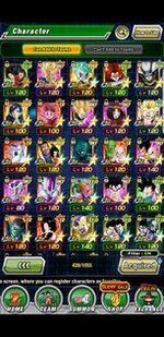 dokkan 3.jpg
