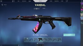 valorant4.jpeg