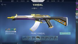valorant5.jpeg