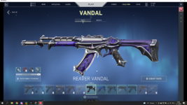 VALORANT-Win64-Shipping_s8DqngGh7H.png