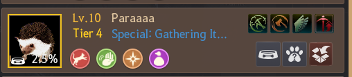pet.png