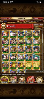 Screenshot_20211227-135025_ONE PIECE TREASURE CRUISE.jpg