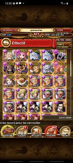 Screenshot_20211227-135059_ONE PIECE TREASURE CRUISE.jpg
