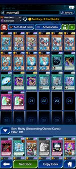 Screenshot_2022-01-17-17-32-36-808_jp.konami.duellinks.jpg