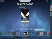 VALORANT   1_18_2022 1_05_20 AM.png