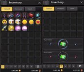 Iris Inventory.jpg