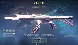 SOL VANDAL.jpg