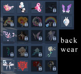 back.jpg