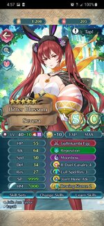 Screenshot_20220128-045733_Fire Emblem Heroes.jpg