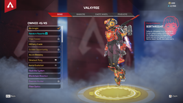 Valk Skins.png