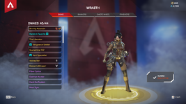Wraith Skins.png