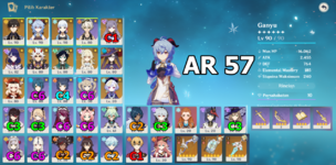 awangisellin.PNG