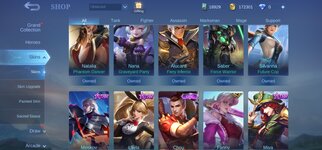 Screenshot_20220123-172528_Mobile Legends Bang Bang.jpg