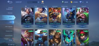 Screenshot_20220123-172740_Mobile Legends Bang Bang.jpg