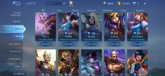Screenshot_20220123-172809_Mobile Legends Bang Bang.jpg