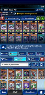 Screenshot_20220209-132127_Duel Links.jpg