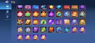 Bag Items.jpg