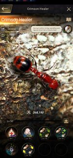 Screenshot_20220218-094842_The Ants.jpg