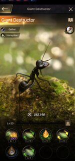 Screenshot_20220218-094850_The Ants.jpg