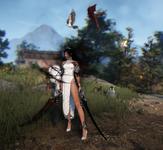 Bdo.png