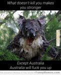 Funny-memes-except-Australia.jpg