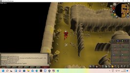 osrs3.jpg
