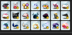 5.PNG