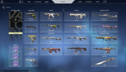 collection.png