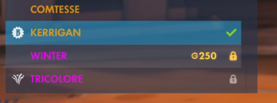 WMSkin.png