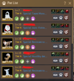 6. pet.png