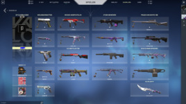 Valorant account verkauf.PNG
