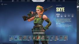 valorant account verkauf 2.PNG
