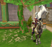 unknown9.png