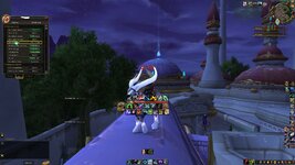 WoWScrnShot_033122_003433.jpg