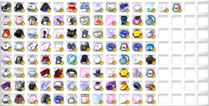 explorer_bag.PNG