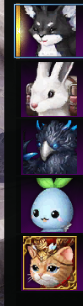 Pet.png