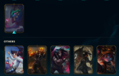 skinki9.png