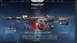 protocal phantom.png