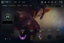 Perfil master img.jpg