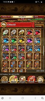 Screenshot_20220508-140307_ONE PIECE TREASURE CRUISE.jpg